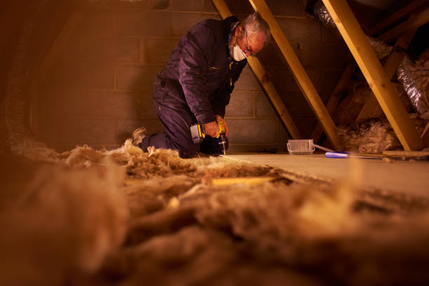Best Professional Insulation Contractor  in Roslyn, NY